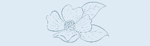 Events by Marylee floral icon